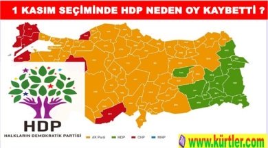 1 Kasım Seçiminde Hdp Neden Oy Kaybetti