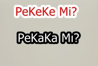 Pekeke mi ? Pekaka Mı? Hangisi Doğru ?