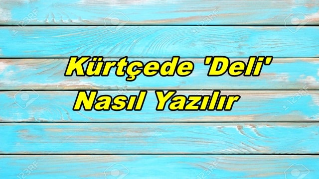 Kürtçede 'deli' nasıl söylenir? Kürtçede 'deli' kelimesi Dîn şeklinde yazılır. Önemli: Dîn kelimesi Türkçedeki Din kelimesiyle bir ilgisi yoktur. Sen Delisin Kürtçe Nasıl Söylenir? 'Sen Delisin' Kürtçede 'Tü Dîni' olarak yazılır. Kürtçede Kızlar -Erkekler için Deli Nasıl Denir? Kürtçede İngilizcede olduğu gibi kızlar için ayrı erkekler için ayrı ekler kullanılır. Kürtçede Deli kelimesi Kızlar için 'deli' ⇒ Dîne Erkekler için 'deli' ⇒ Dîno şeklinde yazılır. Genel anlamda cümle içinde kullanırken bu ayrım yapılmaz.Erkekler ve kızlar için de 'Sen Delisin' cümlesi belirttiğimiz 'Tü Dîni 'olarak yazılır.