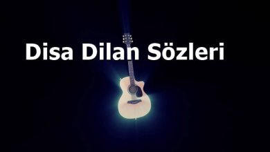 Disa Dilan