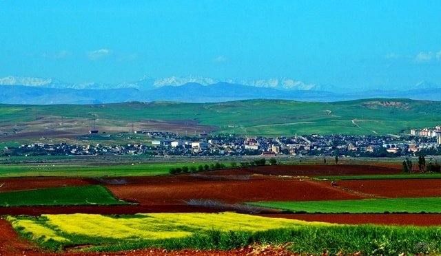 bismil natur
