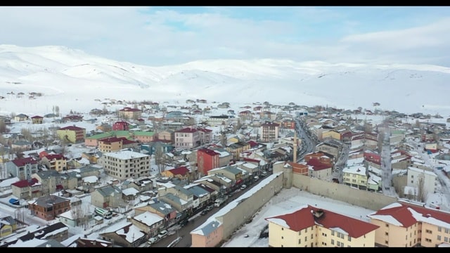 Gogsî kurd