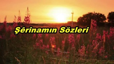 Şêrînamın(Şirinamın) Kürtçe Şarkı Sözleri ve Türkçe Anlamı