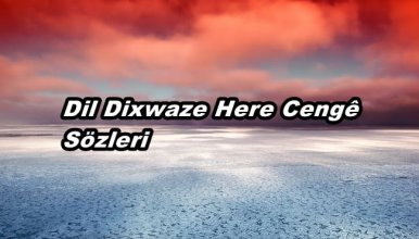 Dil Dixwaze Here Cengê Şarkı Sözleri ve Türkçe Anlamı