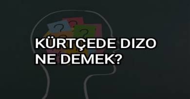 Dızo Nedir? Kürtçede Dızo Ne Demek?