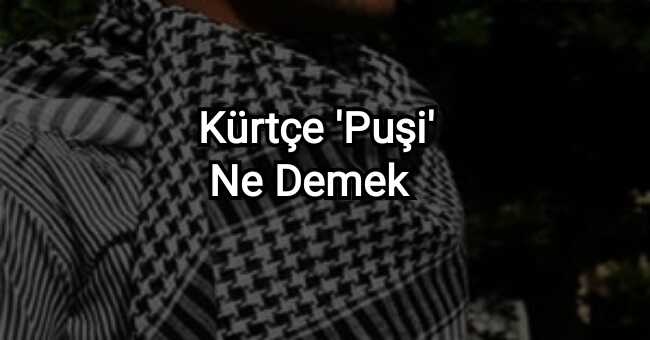 Kürtçe Puşi Ne Demek?