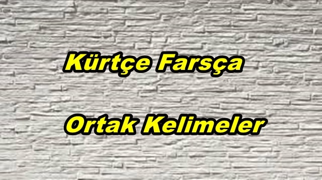Kürtçe-Farsça Ortak Kelimeler