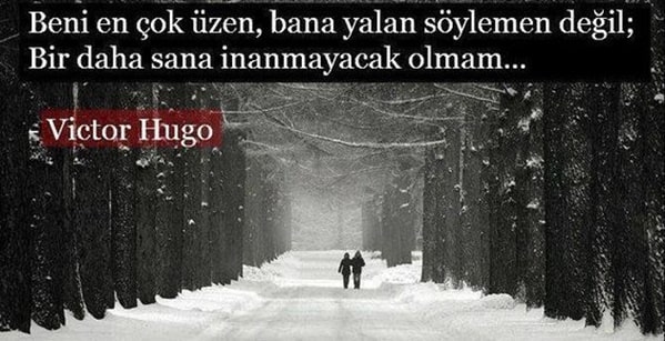 französischer schriftsteller victor hugo zitate